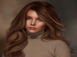 Lori Ondricek