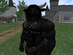 Avatar vom 12.05.2026