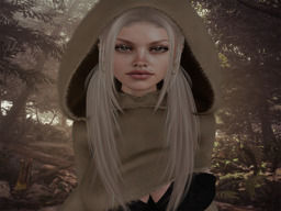 ｓｈａｋｔｉ (filoto)