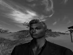 Mr. Gu (jordanbrooklyn)