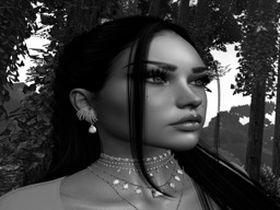 Avatar vom 11.02.2026