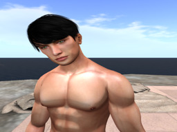 Bob (bobcolors)