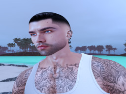 Avatar vom 28.01.2026