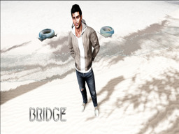 Bridge (bridge11)