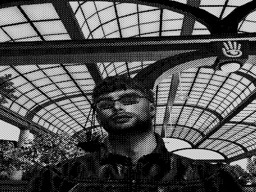 Avatar vom 14.01.2026