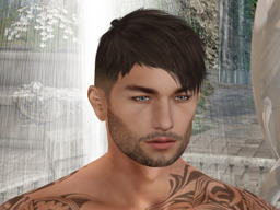 Paul Nicholl (paulonichi)