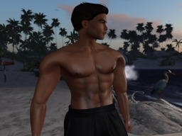 Joe  (sinister.firegrave)