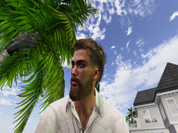 Alex (alessandromonti)