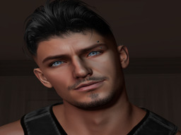 Mιĸe Dαrĸнeαrт (omikeo)