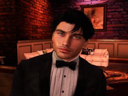 Michael Bradson (michaelbradson)