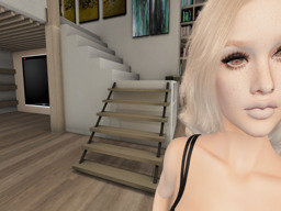 Cement (concretejones)