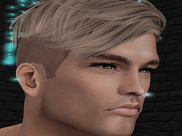 Adam Long (herdarklonging)