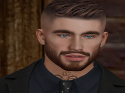 Pavan Mariner (pavan1099)